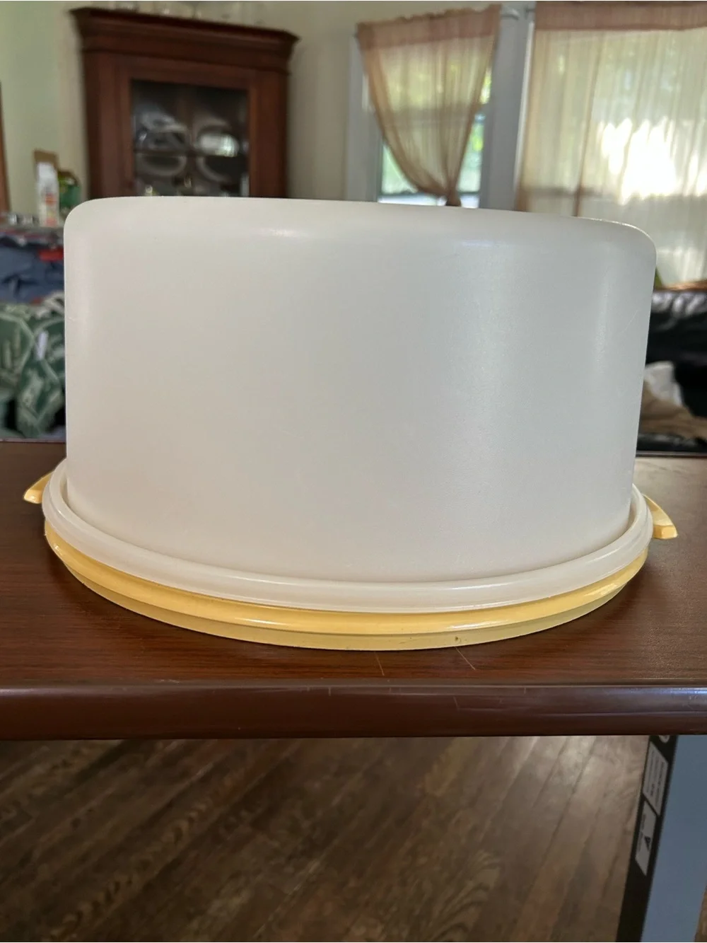 Vintage Tupperware Maxi cake taker 12 x 15 x 6” made in USA, #1256-2,